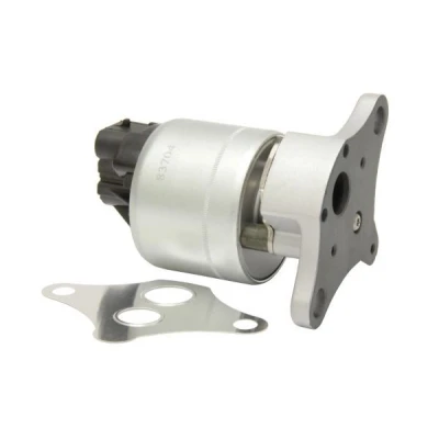 Imagem de MAPCO 83704 Válvula EGR elétrico Electroválvula com junta OPEL: Astra G Caravan, Zafira A, CC
