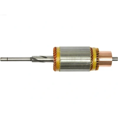 Imagem de AS PL SA1007 Induzido, motor de arranque