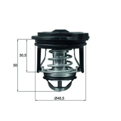 Imagem de MAHLE ORIGINAL TI 246 50 Termóstato, líquido de refrigeração com junta FORD: FIESTA 6