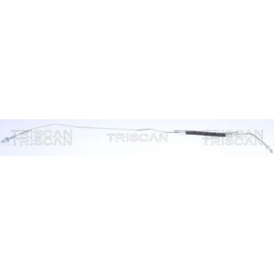 Imagem de TRISCAN 8150 29343 Mangueira de Travão 163 M10x1 VOLKSWAGEN: Sharan I, SEAT: Alhambra I