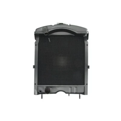 Imagem de THERMOTEC D7AG098TT Radiador, arrefecimento do motor