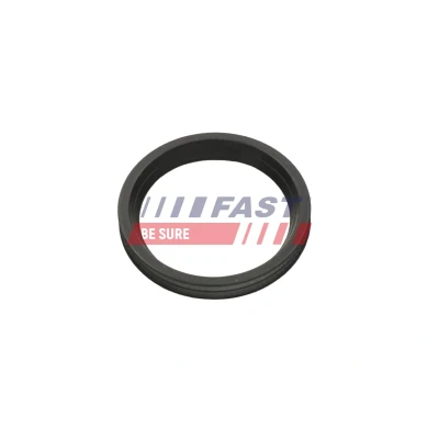 Imagem de FAST FT48953 Retentor, tubo do ar de sobrealimentação MERCEDES BENZ: Sprinter 5 T Van