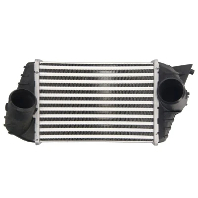 Imagem de THERMOTEC DAF009TT Intercooler