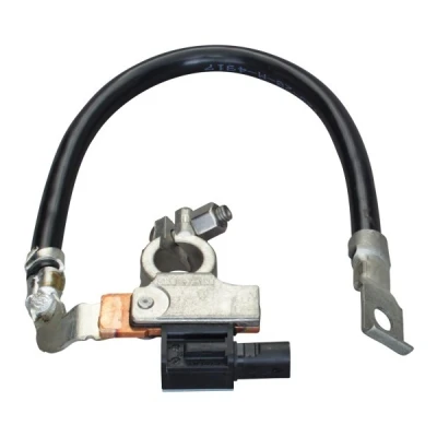 Imagem de HELLA 6PK 010 561 901 Sensor, gestão da bateria
