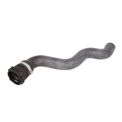 Imagem de SASIC 3406269 Mangueira de Radiador à direita, em cima FIAT: Grande Punto Hatchback, Evo Hatchback