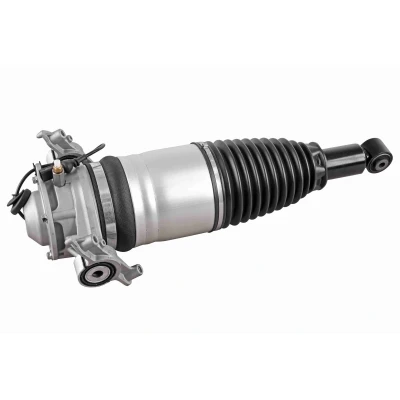 Imagem de VEMO V10 50 0007 Elemento de suspensão pneumática Eixo traseiro esquerdo VOLKSWAGEN: Touareg II