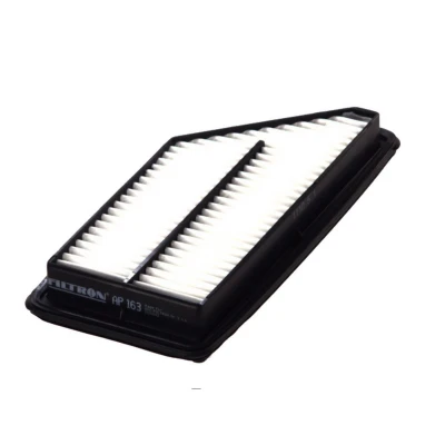 Imagem de FILTRON AP 163 Filtro de ar 49 162 334 Cartucho filtrante HONDA: PRELUDE V, 4
