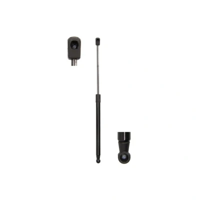 Imagem de Mola de ar, compartimento bagagem/carga MAGNUM TECHNOLOGY MGS7009