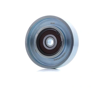 Imagem de CAFFARO 500206 Polia de Desvio