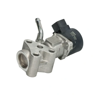 Imagem de DELPHI EG10532 12B1 Válvula EGR elétrico