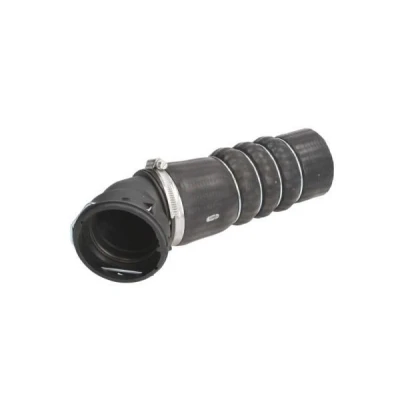 Imagem de THERMOTEC DCB039TT Mangueira Para o Turbocompressor BMW: 5 Sedan, Touring