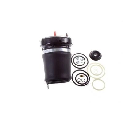 Imagem de Mola pneumática, chassis DENCKERMANN DSA109G