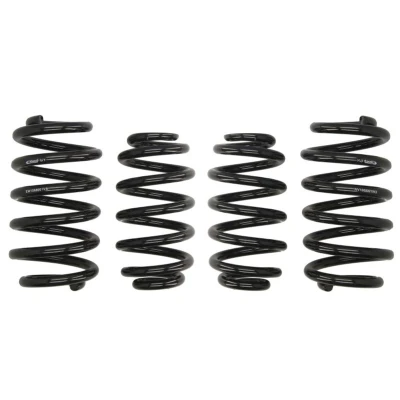 Imagem de EIBACH Pro Kit E10 15 003 12 22 de suspensão, molas AUDI: A4 B6 Avant, B7 Avant