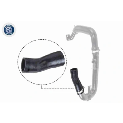 Imagem de VAICO V24 0697 Mangueira Para o Turbocompressor Borracha com entretela Q+, original equipment manufacturer quality
