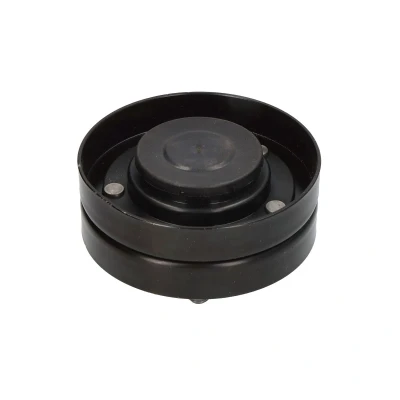 Imagem de DAYCO APV2624 Polia de Desvio