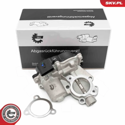 Imagem de ESEN SKV 14SKV281 Válvula EGR VOLKSWAGEN: Polo V Hatchback, SEAT: Ibiza 4