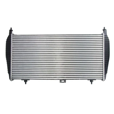 Imagem de Arrefecedor de ar admissão THERMOTEC DAC010TT