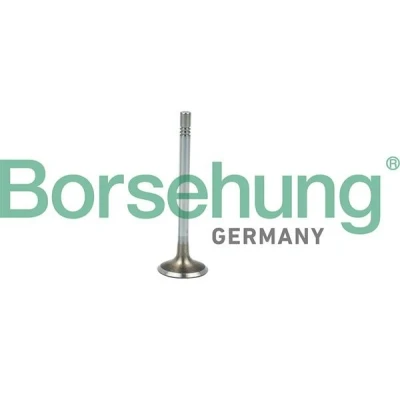 Imagem de Borsehung B19021 Válvula de Admissão VOLKSWAGEN: Transporter 6, GOLF 5 Bus