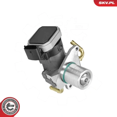 Imagem de Válvula de recirculação dos gases escape ESEN SKV 14SKV303