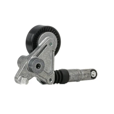 Imagem de SKF VKM 31300 Polia Tensora AUDI: A6 C6 Sedan, A4 B8 Avant, Q7