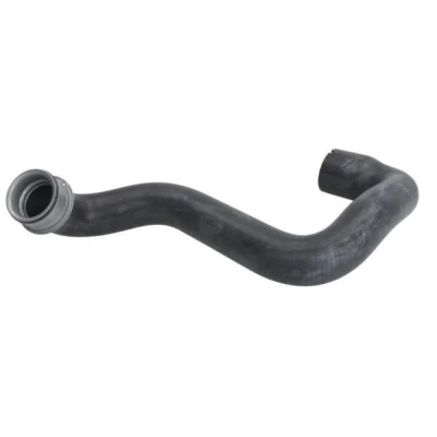 Imagem de THERMOTEC DWM076TT Mangueira de Radiador em baixo MERCEDES BENZ: Classe E Sedan, CLS Coupe, T modell