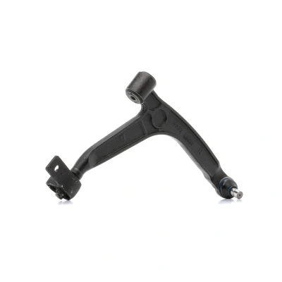 Imagem de DELPHI TC1252 Braço de suspensão com articulação suspensão/guia à direita, em baixo, frente oscilante longitudinal CITROËN: Xsara Picasso