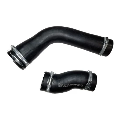 Imagem de BUGIAD 81716 Mangueira Para o Turbocompressor com braçadeiras ALFA ROMEO: Giulietta Hatchback