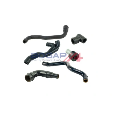 Imagem de BOGAP A1217113 Kit de reparação, respiro do cárter da cambota