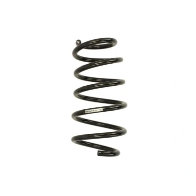 Imagem de SACHS 998 738 Mola de suspensão