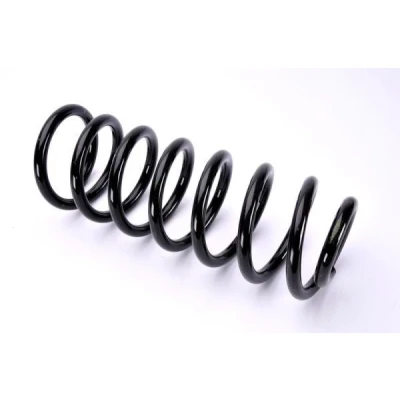 Imagem de Magnum Technology SA040MT Mola de suspensão Eixo traseiro helicoidal