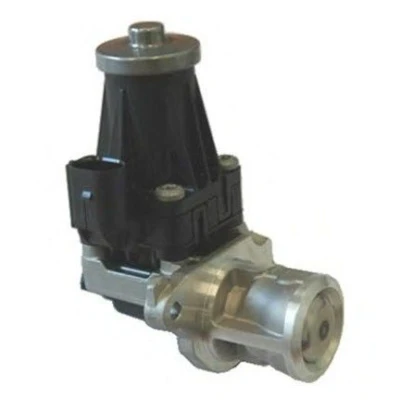 Imagem de MAGNETI MARELLI 571822112072 Válvula EGR OPEL: Astra J Hatchback, Corsa D Sports Tourer, FIAT: Panda II Hatchback