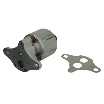 Imagem de WAHLER 711033D/1 Válvula EGR elétrico com junta OPEL: Zafira A, Astra G CC, Caravan