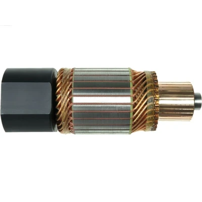 Imagem de AS PL SA0009 Induzido, motor de arranque