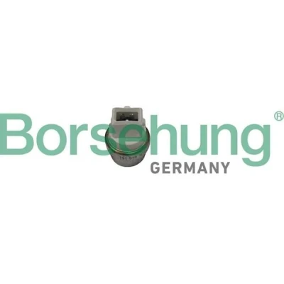 Imagem de Borsehung B18288 Interruptor de temp., luz avisadora líquido refrigeração VOLKSWAGEN: Passat B3/B4 Variant, GOLF 4, 3, AUDI: A3 Hatchback