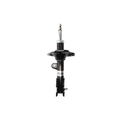 Imagem de Magnum Technology AG0542MT Amortecedor HYUNDAI: SANTA FE 2