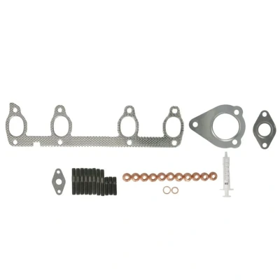 Imagem de Kit de montagem, turbocompressor EVORON EVMK0231