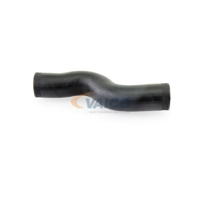 Imagem de VAICO V10 3776 Mangueira Para o Turbocompressor Borracha com entretela Q+, original equipment manufacturer quality