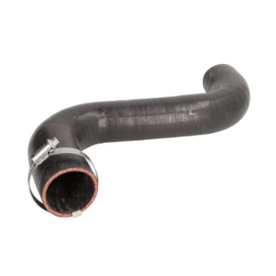 Imagem de THERMOTEC DCI049TT Mangueira Para o Turbocompressor LAND ROVER: Range Rover Sport