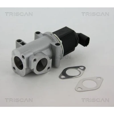 Imagem de TRISCAN 8813 10015 Válvula EGR electrónico com juntas OPEL: Astra H Hatchback, Caravan, Vectra C FIAT: Ducato III Van