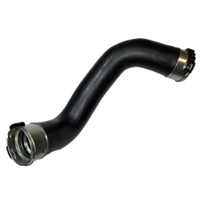 Imagem de BUGIAD 81788 Mangueira Para o Turbocompressor NISSAN: Qashqai 2
