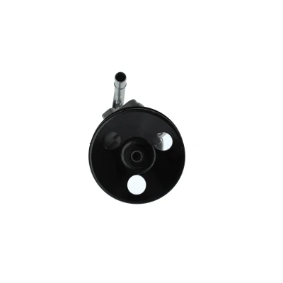 Imagem de BOSCH K S02 000 030 Bomba de Direção hidráulico células palhetas CHEVROLET: Aveo / Kalos Hatchback