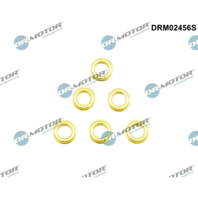 Imagem de DR.MOTOR AUTOMOTIVE DRM02456S Protecção térmica, sistema de injecção RENAULT: CLIO 2, ESPACE 3, Kangoo I