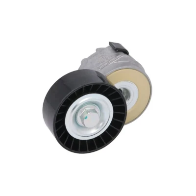 Imagem de SKF VKMCV 52012 Polia Tensora FIAT: Ducato III Van, Camião de plataforma / Chassis, IVECO: Daily 6