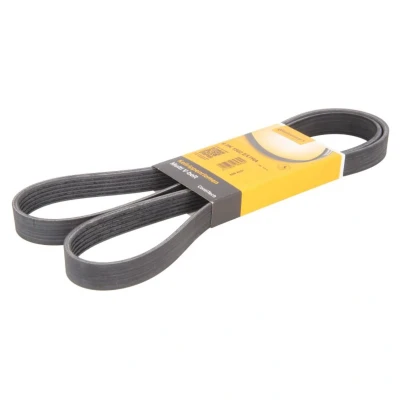 Imagem de CONTITECH 6PK1502 EXTRA Correia trapezoidal estriada 1502 6 FORD: FIESTA 6, FOCUS 3 Turnier,