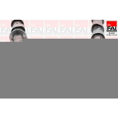 Imagem de FAI AutoParts C351 Árvore de Cames NISSAN: Qashqai / Qashqai+2 I, RENAULT: LAGUNA 3 Grandtour, TRAFIC 2 Kasten