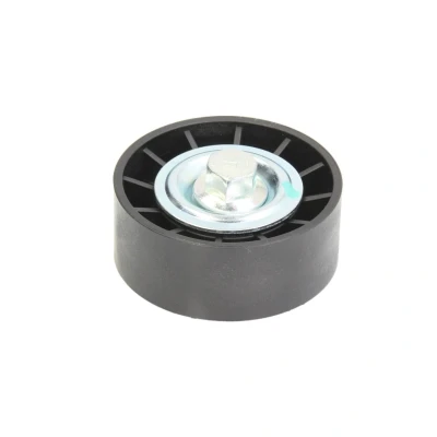 Imagem de DAYCO APV1012 Polia de Desvio