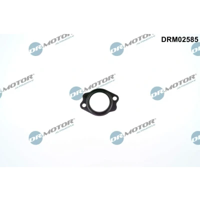 Imagem de Junta, tubagem do líquido de refrigeração Dr.Motor Automotive DRM02585