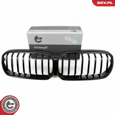 Imagem de ESEN SKV 66SKV201 Grelha de Radiador preto, brilhante BMW: 5 Touring