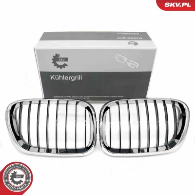 Imagem de ESEN SKV 66SKV273 Grelha de Radiador crómio/negro BMW: X5
