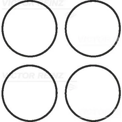 Imagem de REINZ 11 41336 01 Jogo de juntas, colector admissão BMW: 5 Sedan, 3 Touring, Sedan